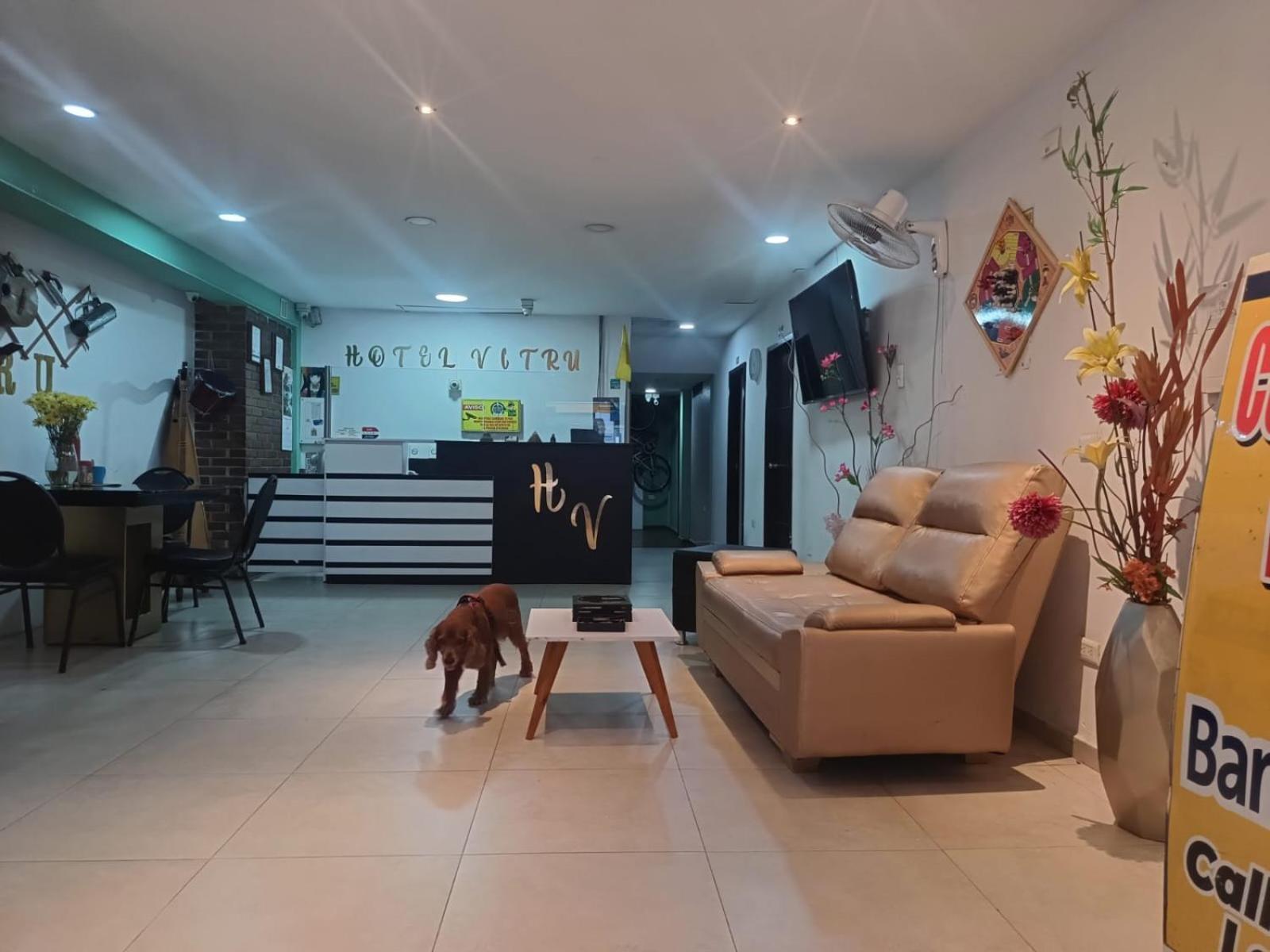 Hotel Vitru Cucuta Ngoại thất bức ảnh